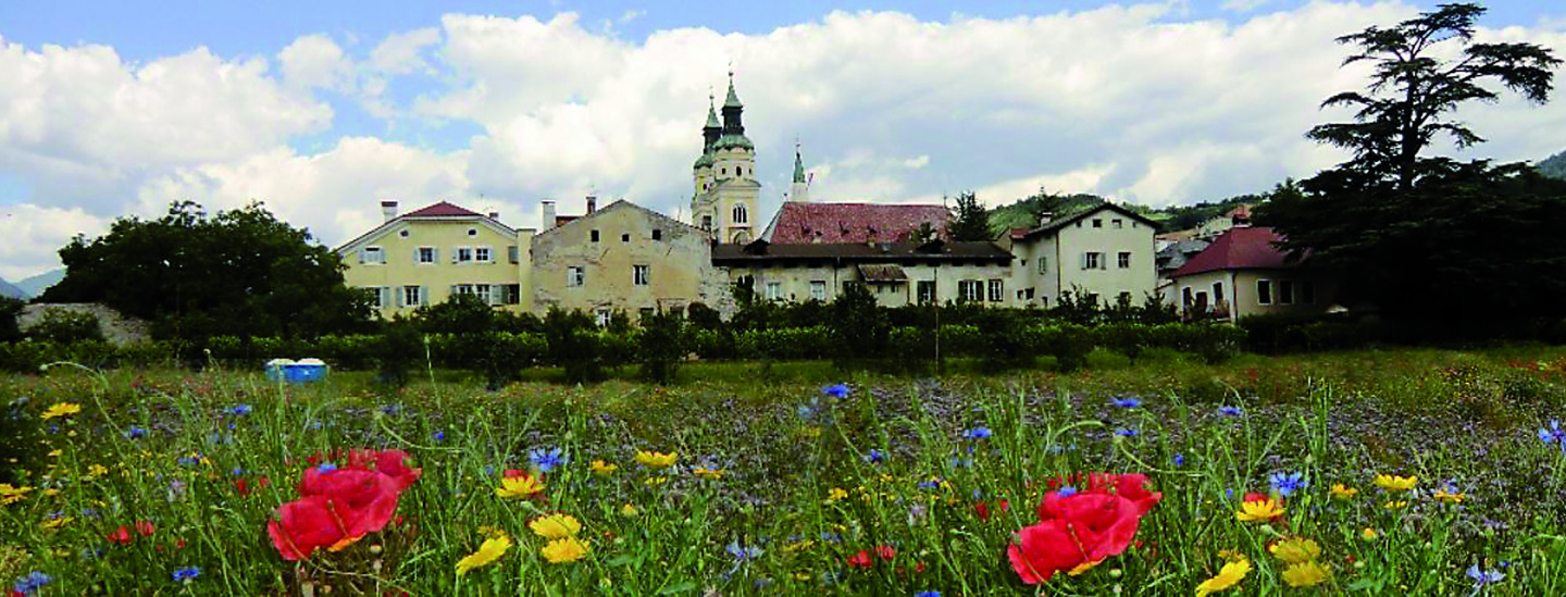 Hofburggarten 